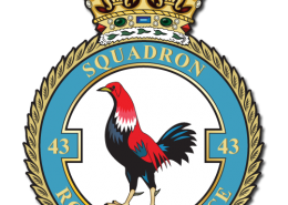 WW2 RAF No.43 Squadron Crest
