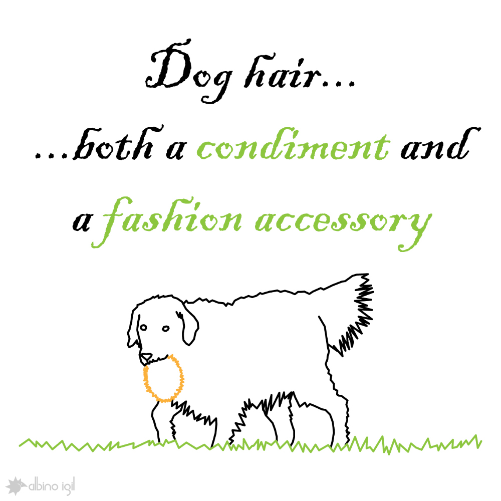 Dog Illustrations - Condiment