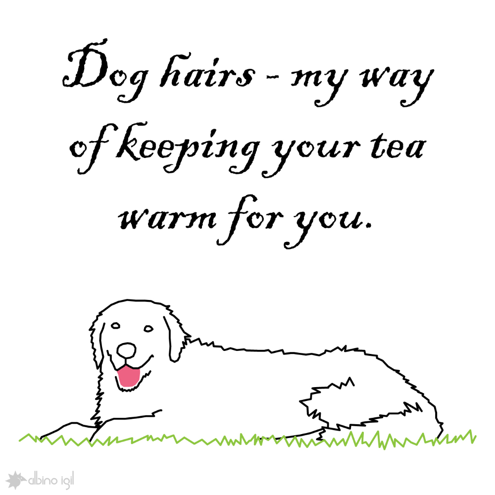 Dog Illustrations - Dog Hairs