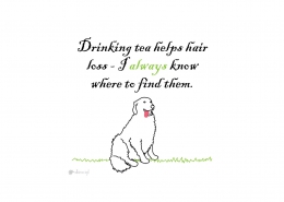 Dog Illustrations - Header