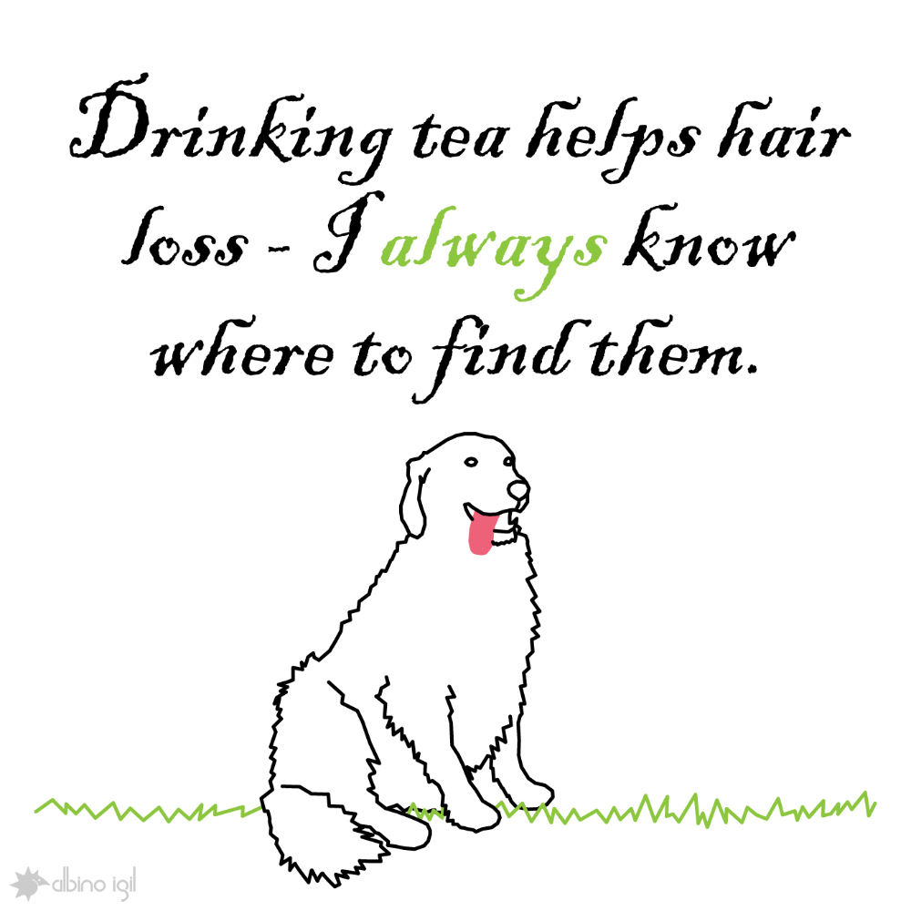 Dog Illustrations - Hair Loss