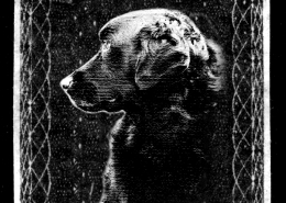 Penny Black